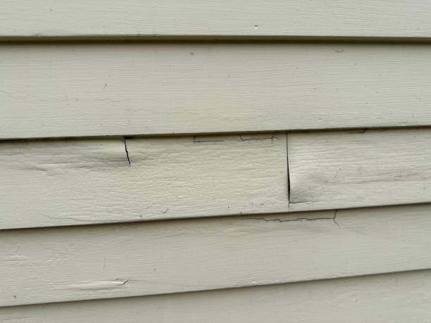 Best Insulated Siding Installation  in Moscow, PA